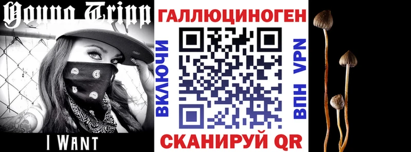Галлюциногенные грибы ЛСД  наркошоп  Наволоки 