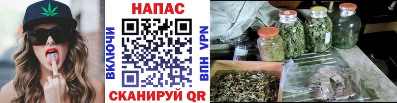 Марихуана MAZAR  Наволоки 